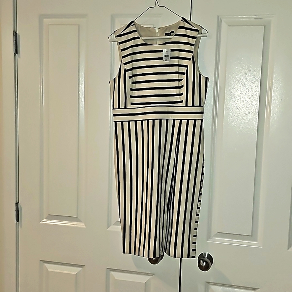 Dress Ann Taylor, White and Black. Size:  8Petit